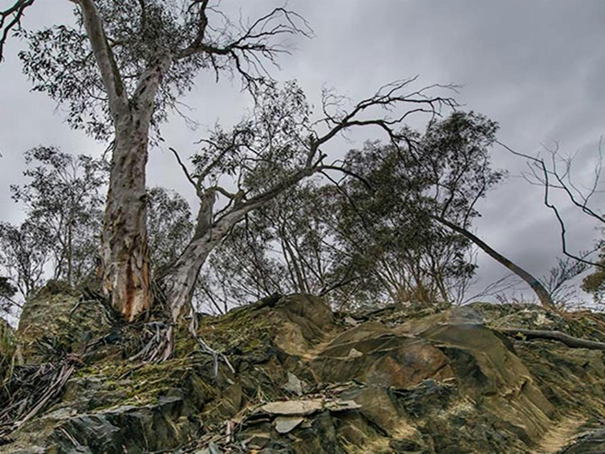 Yanununbeyan State Conservation Area. Photo: John Spencer/NSW Government