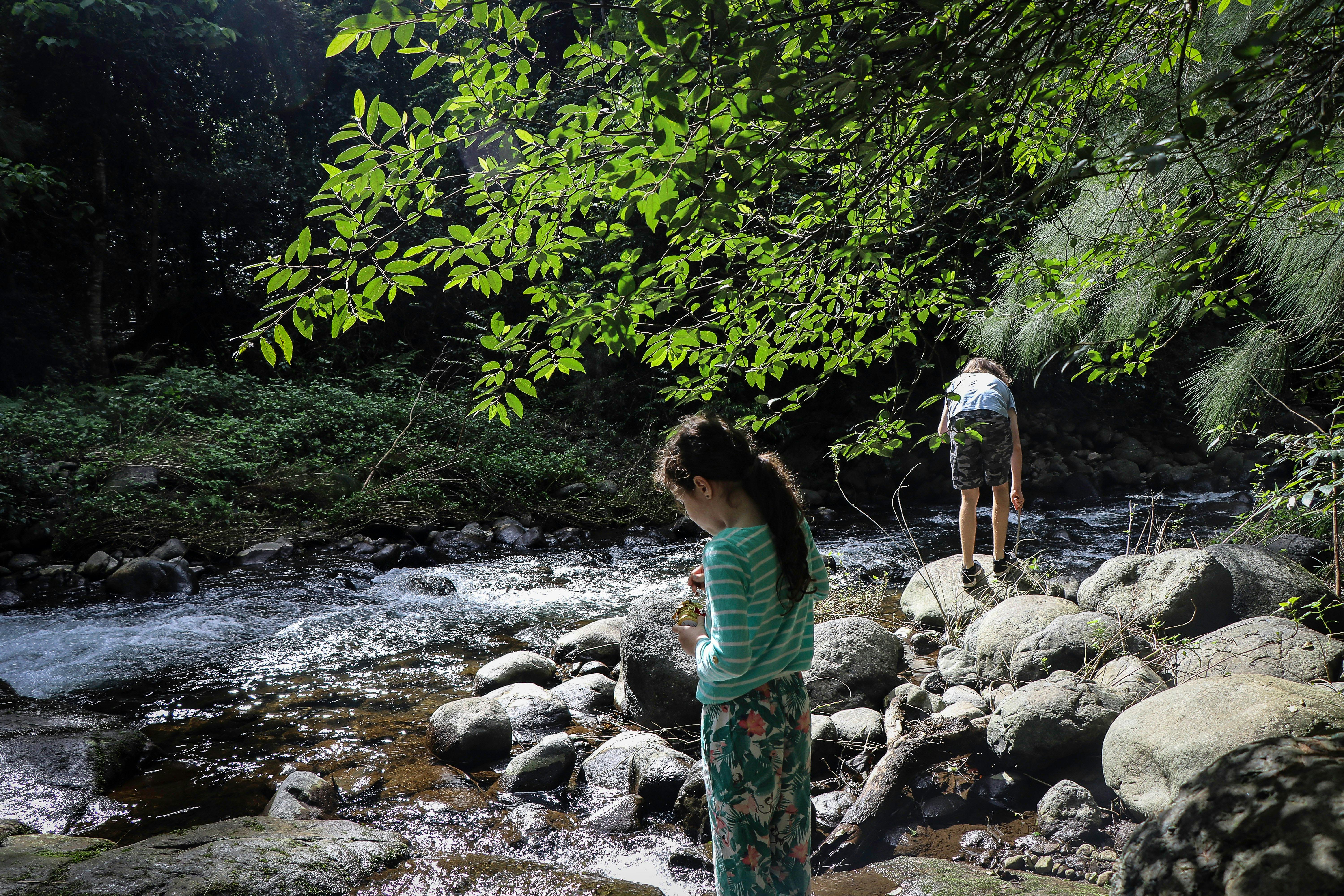 White Rock camping area is adjacent to the Allyn River