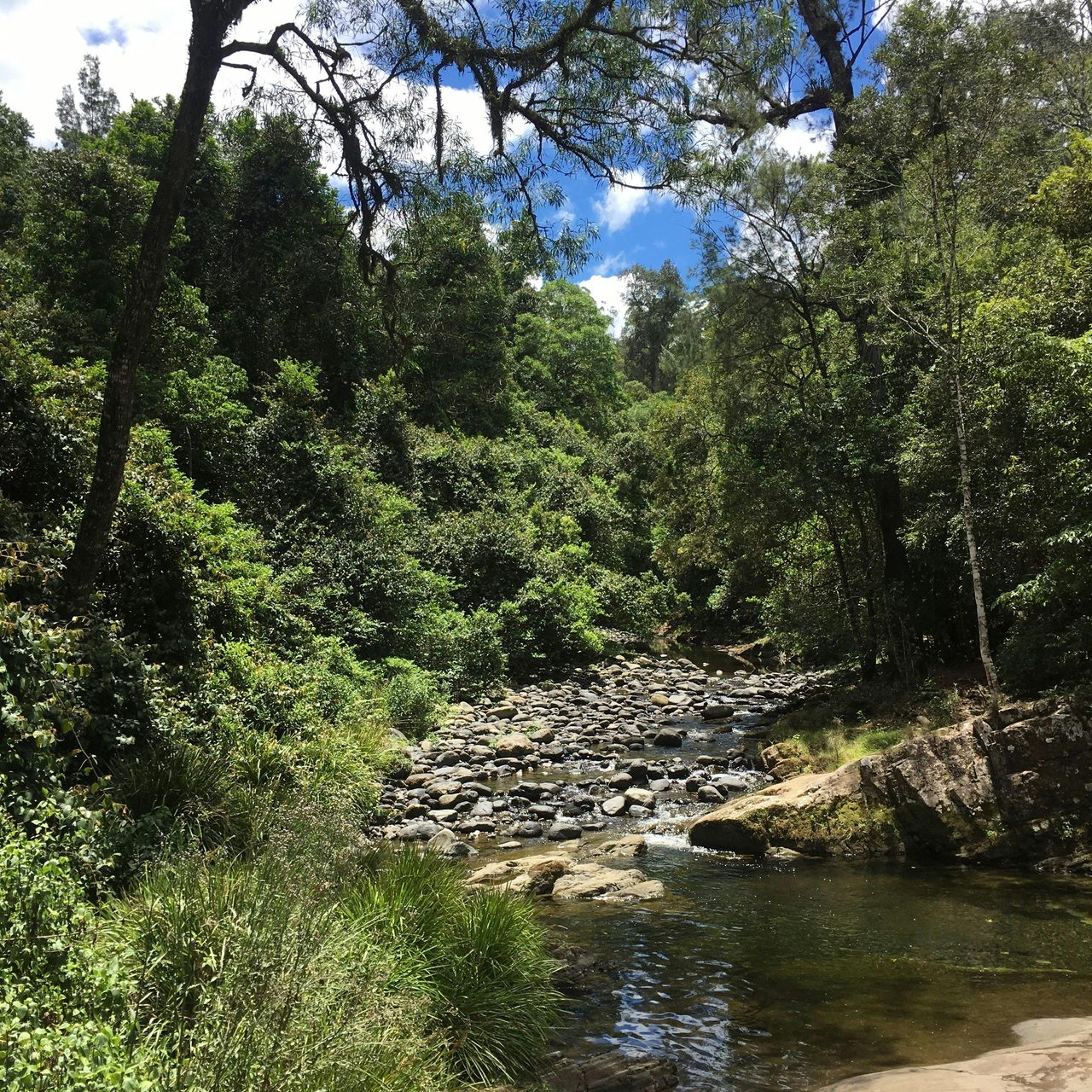 Riverbank at White Rock