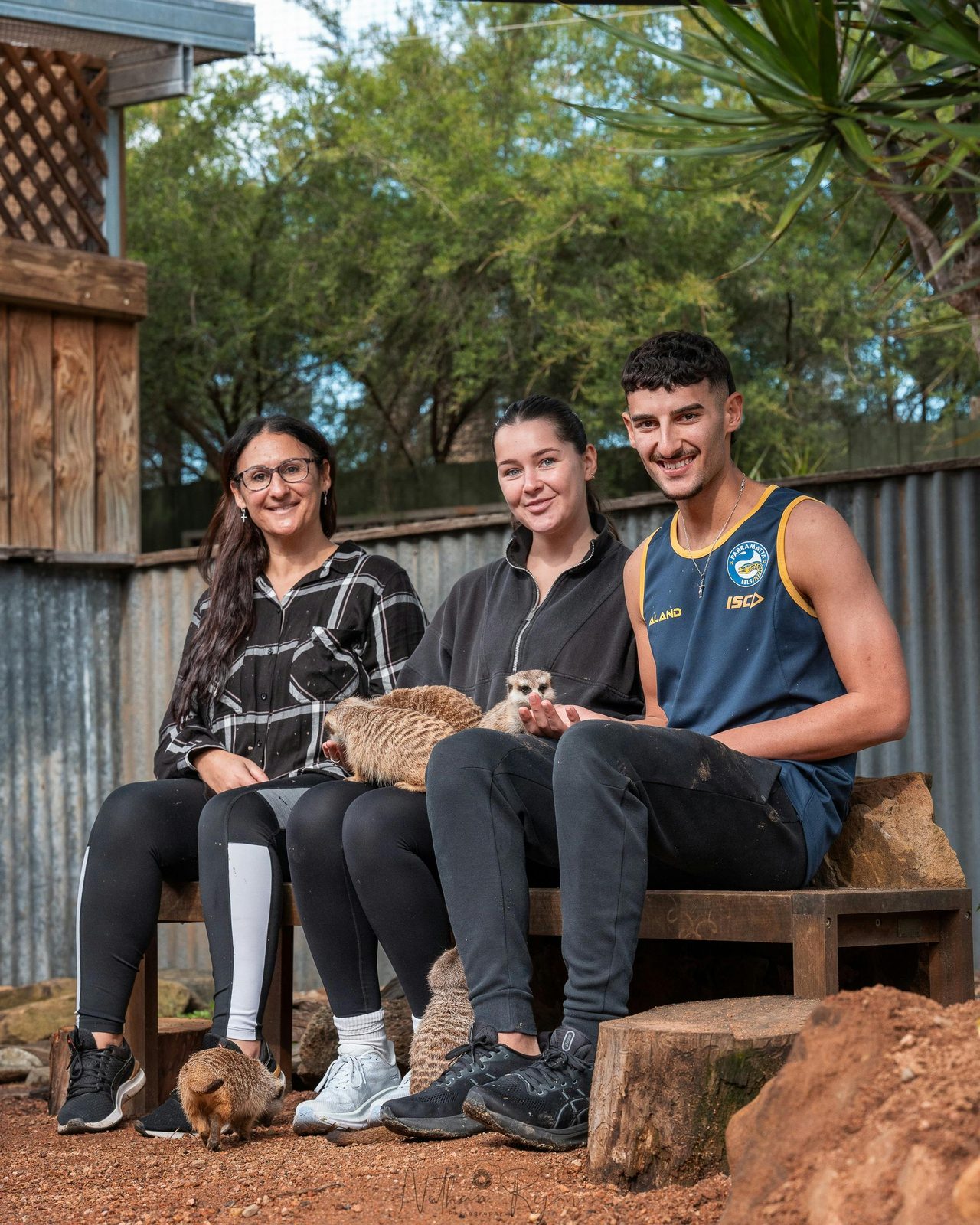 Enjoy an encounter with our Meerkats