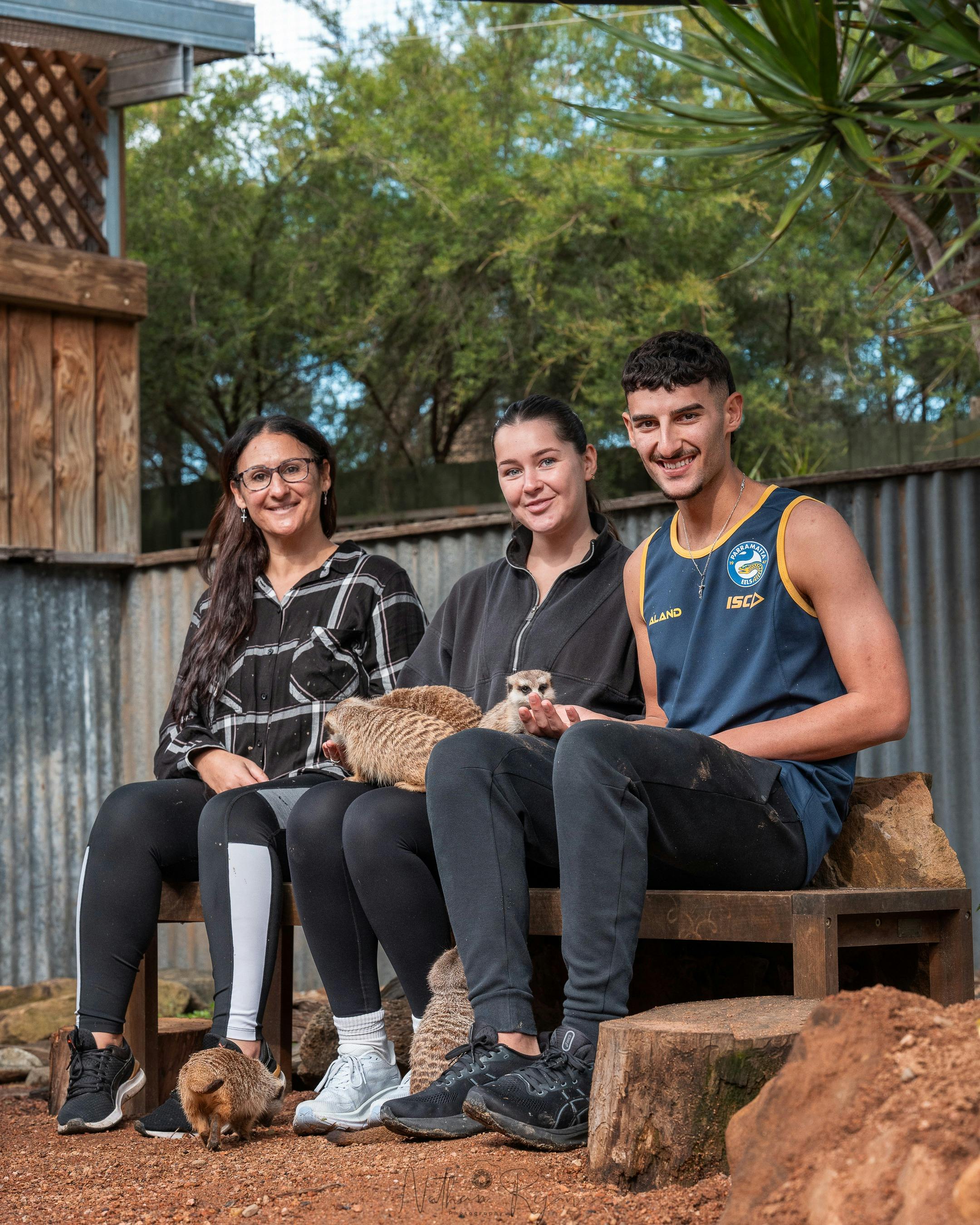 Enjoy an encounter with our Meerkats