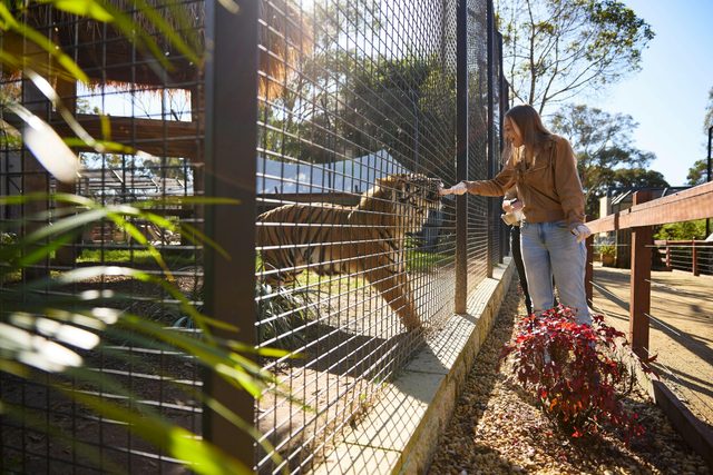 Zambi Wildlife Retreat