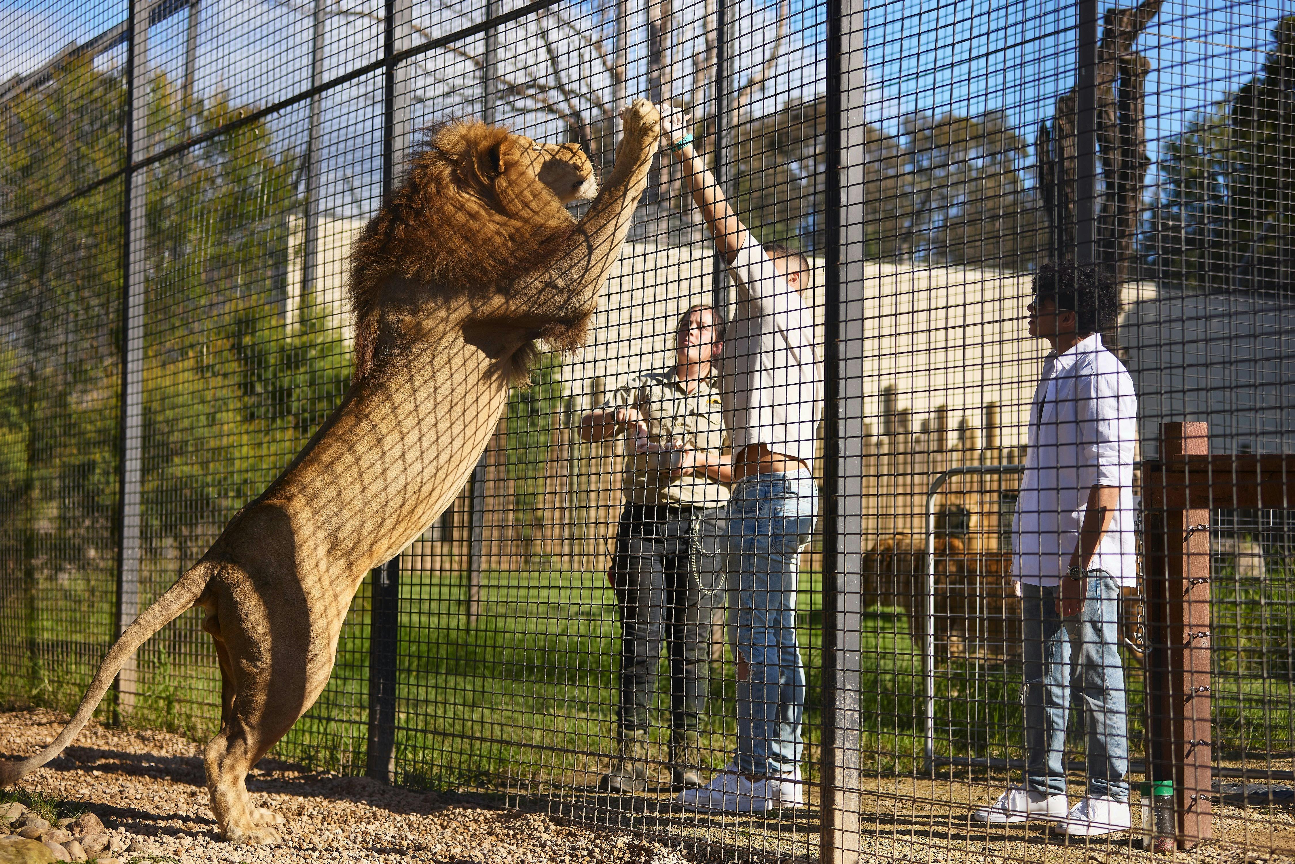 Penrith Zambi Wildlife Sanctuary