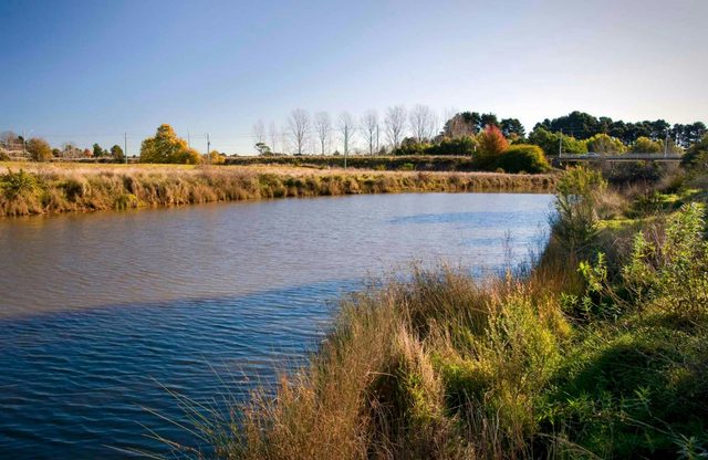 Wingecarribee River Walking Track