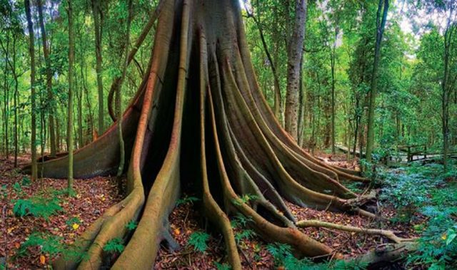 Wingham Self-Guided Heritage Walk