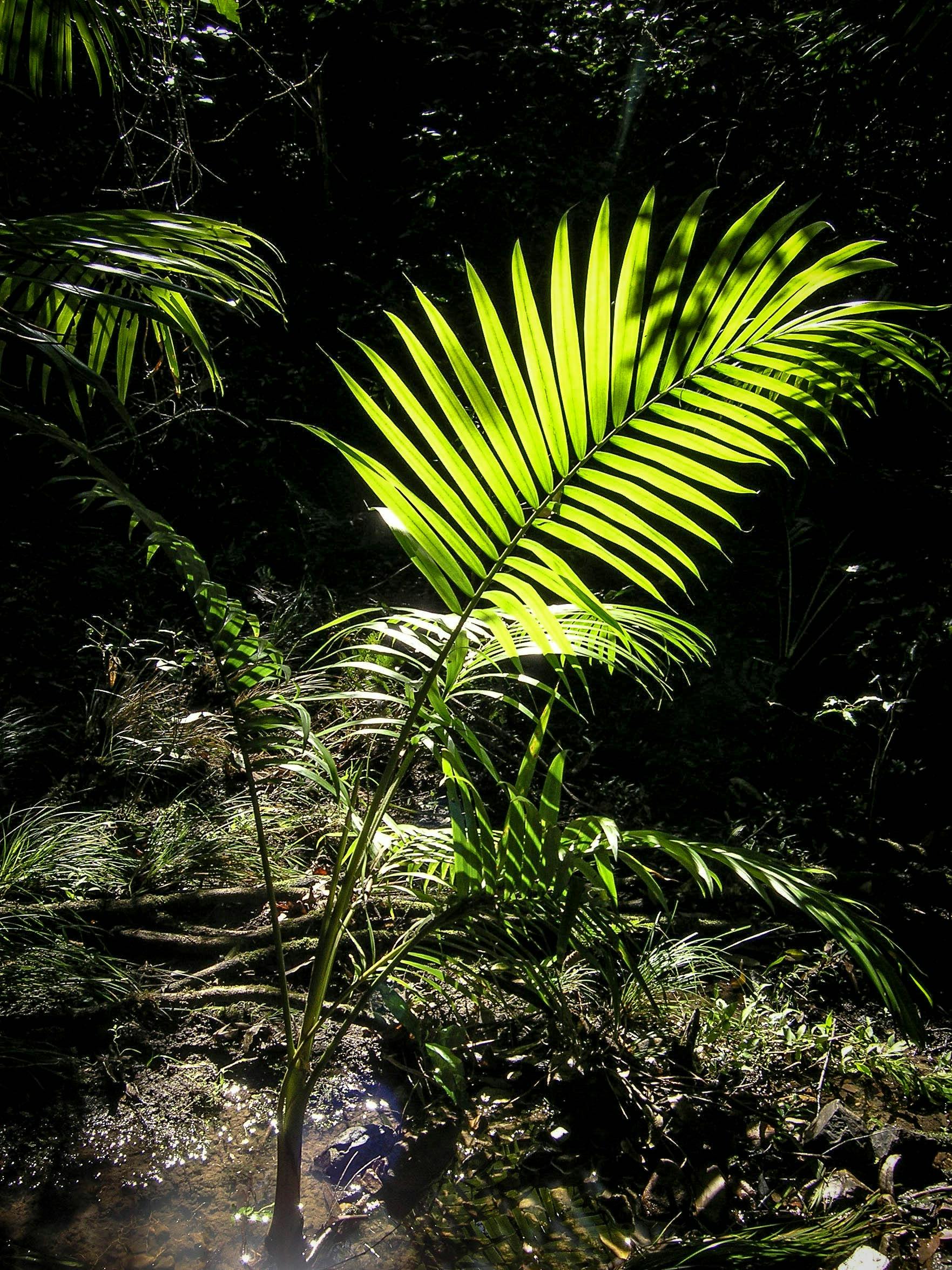 Sunlight along Wootton Historical Railway Walk