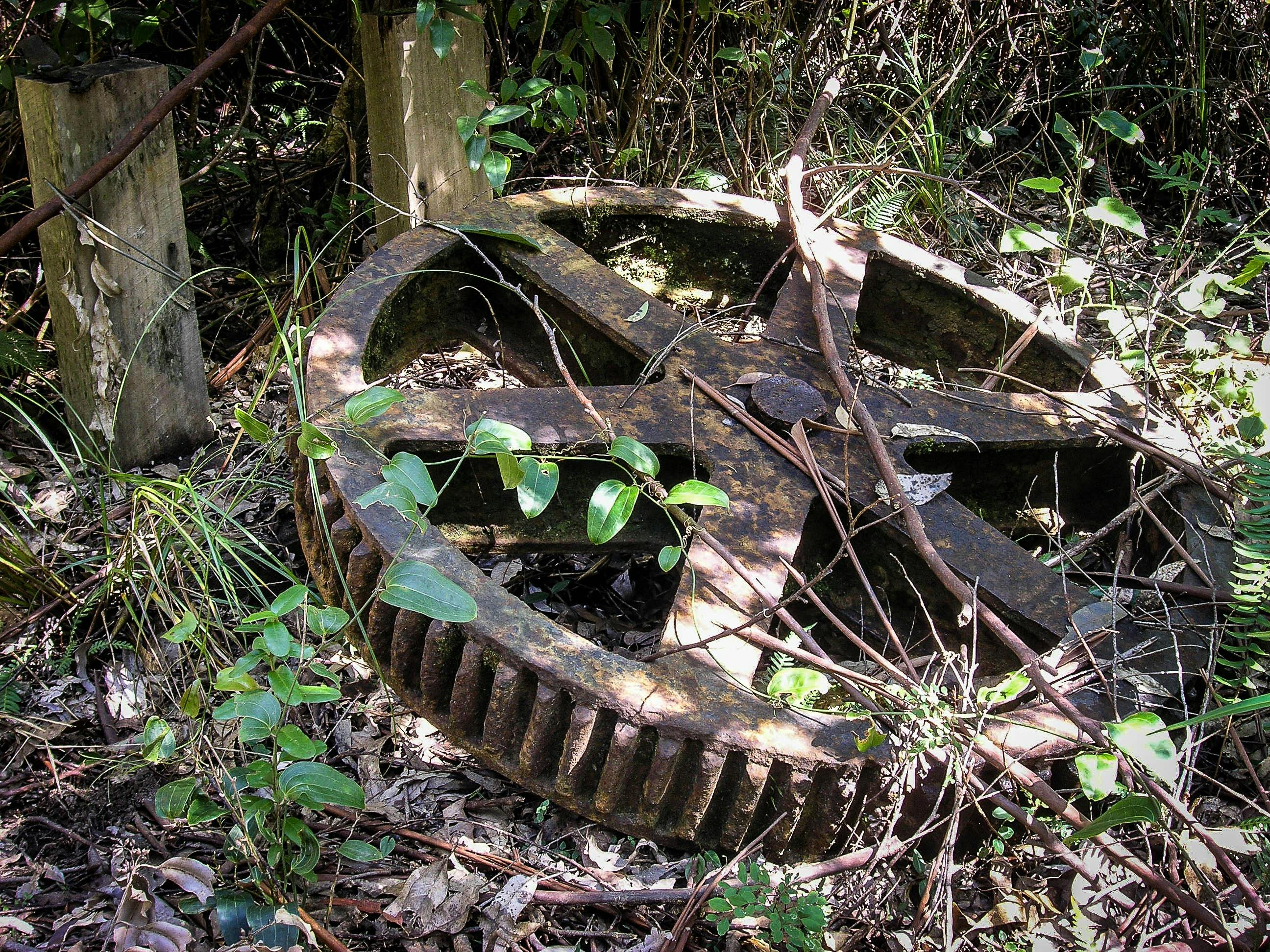 forestry relic along Wootton Historical Railway Walk