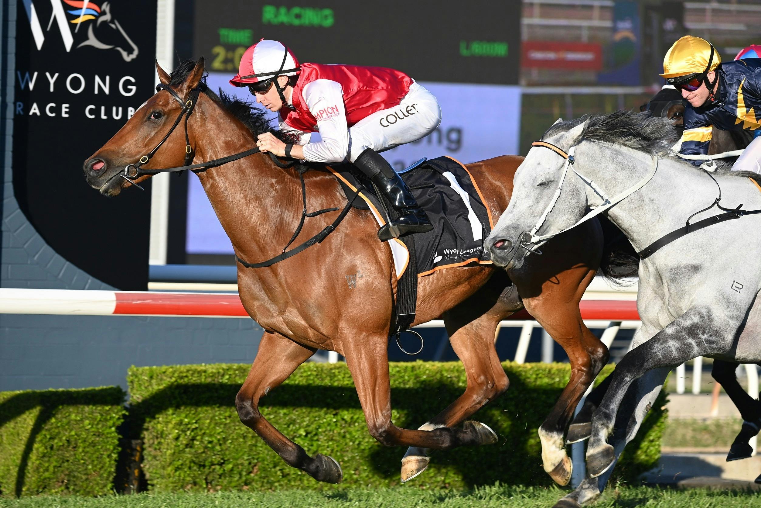 Get ready for heart-pounding racing action!