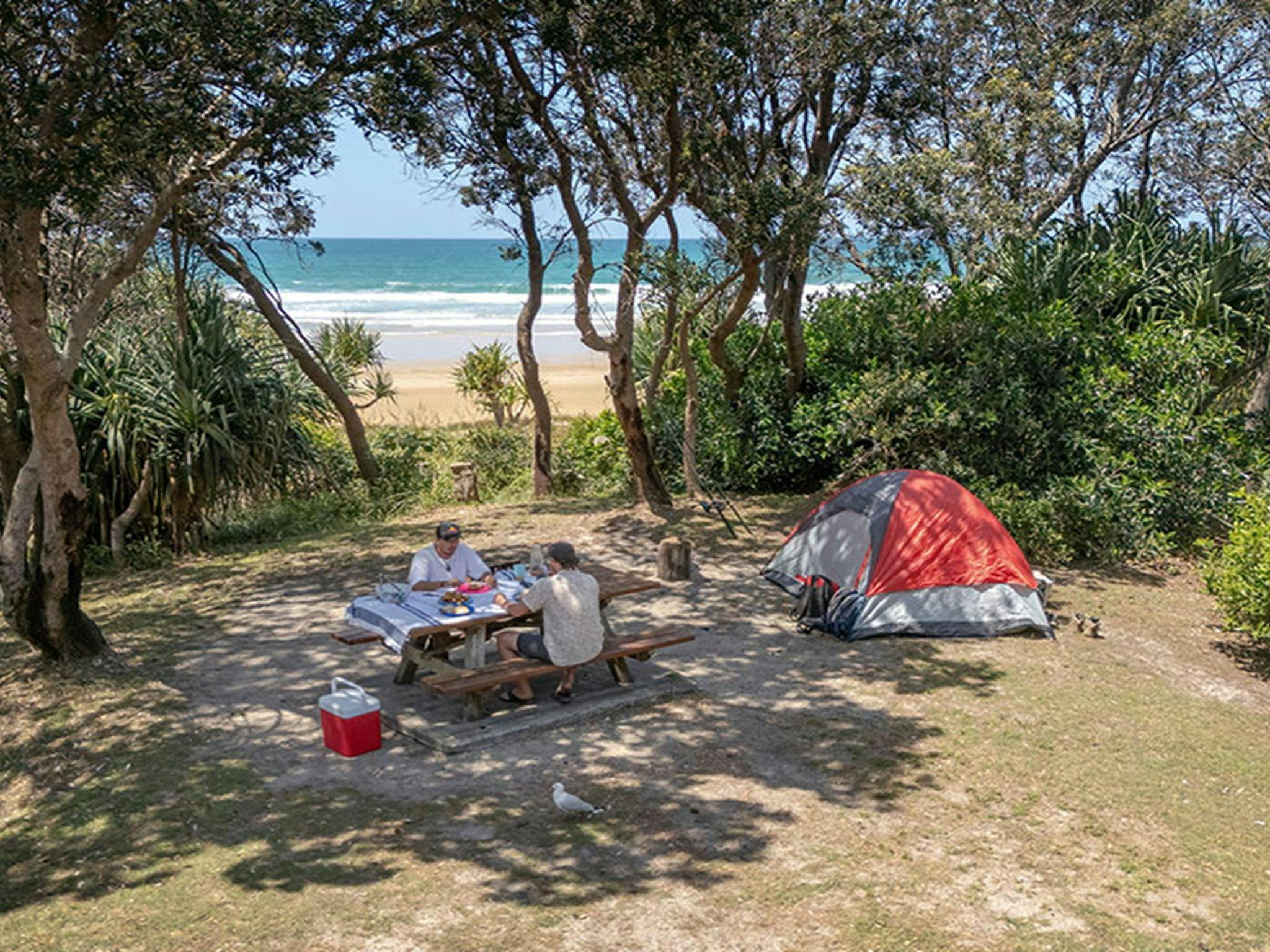Campers at their campsite surrounded by trees with a glimpse of the beach at Illaroo campground.