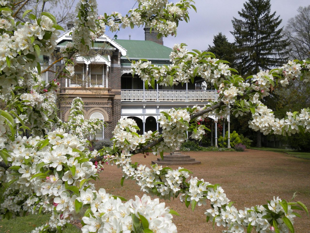 Saumarez Homestead