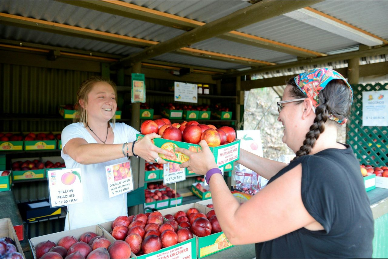 Martin's Orchard Peaches Wandandian