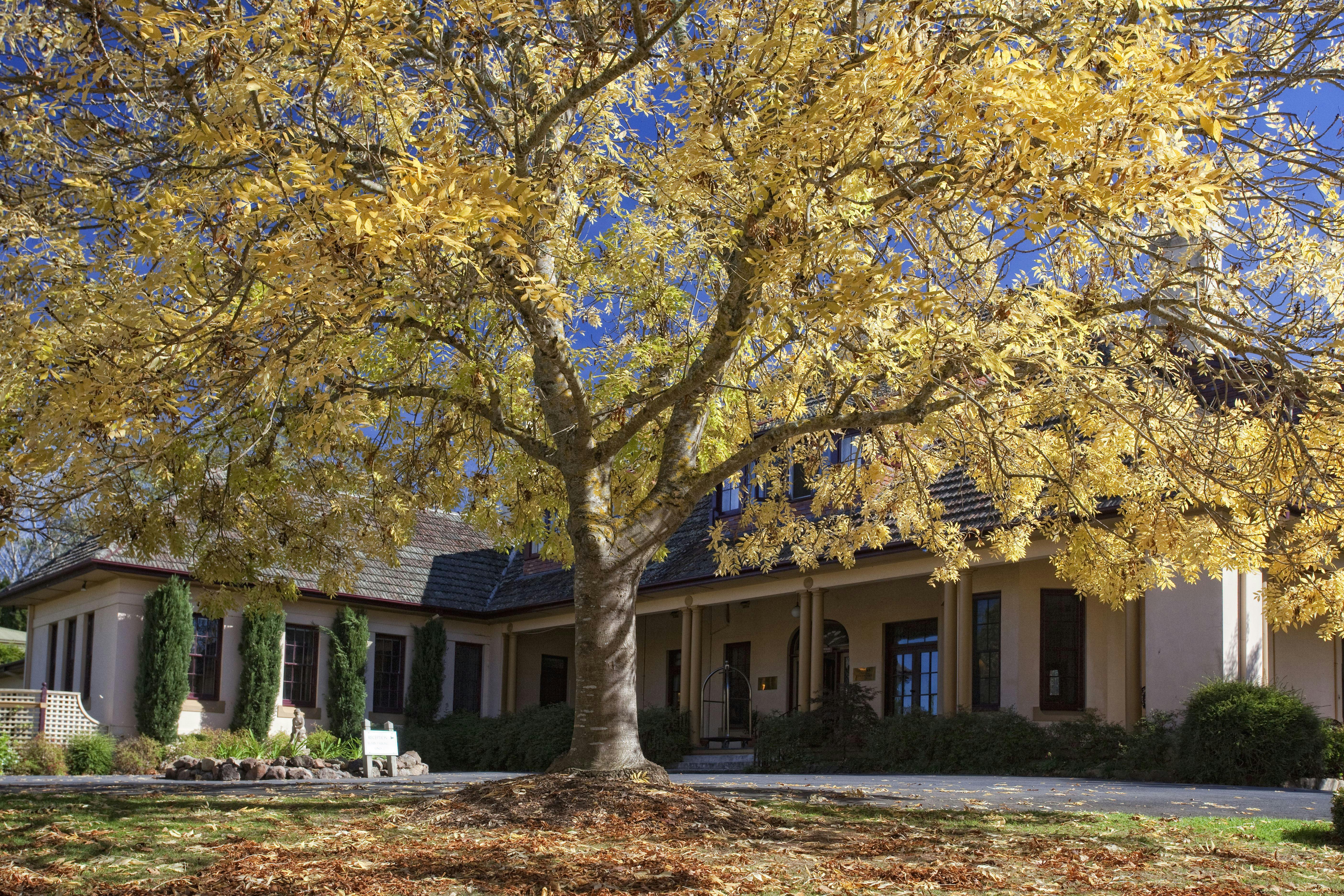 Peppers Manor House, Sutton Forest
