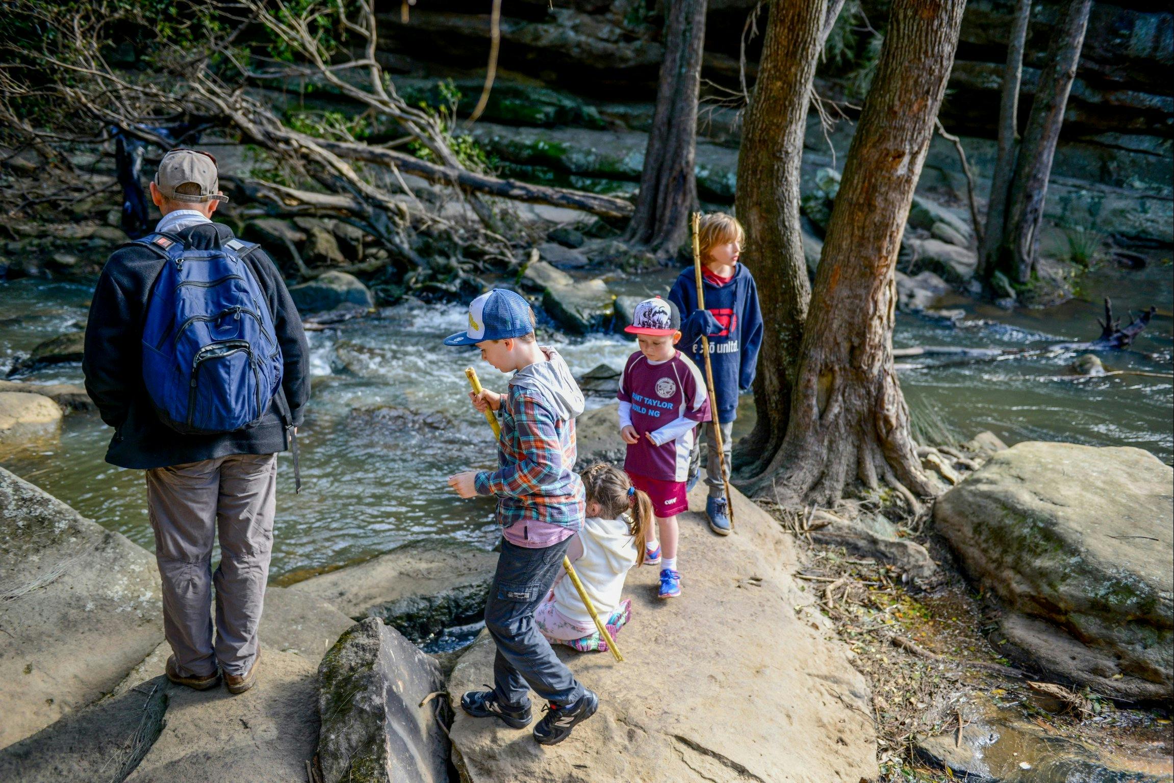 Bomaderry Creek Bushwalk