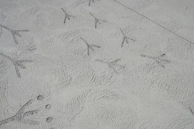 Billabong Parklands Artworks