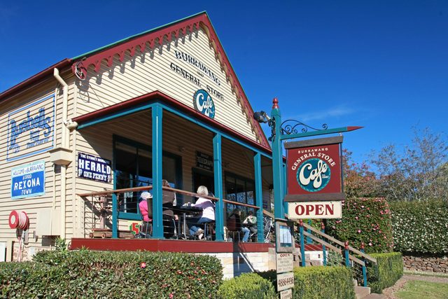 Burrawang