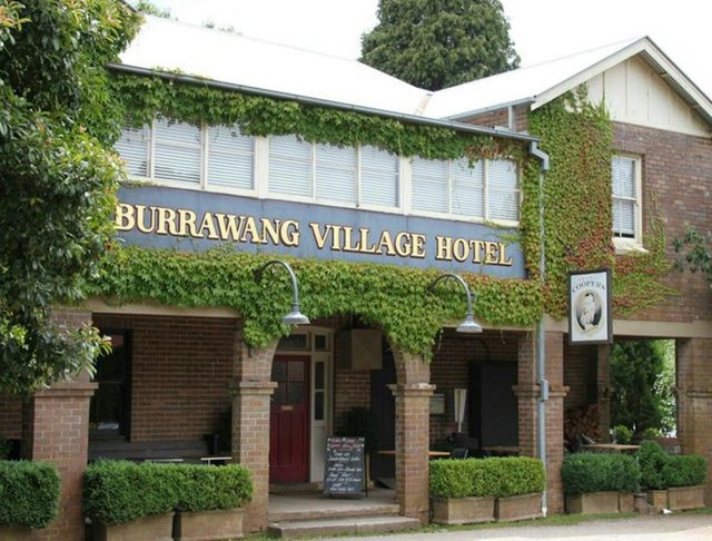 Burrawang