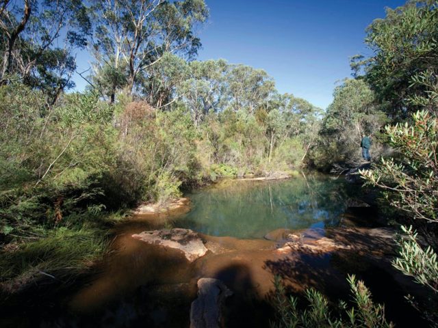 Bargo, Pheasants Nest and Yanderra