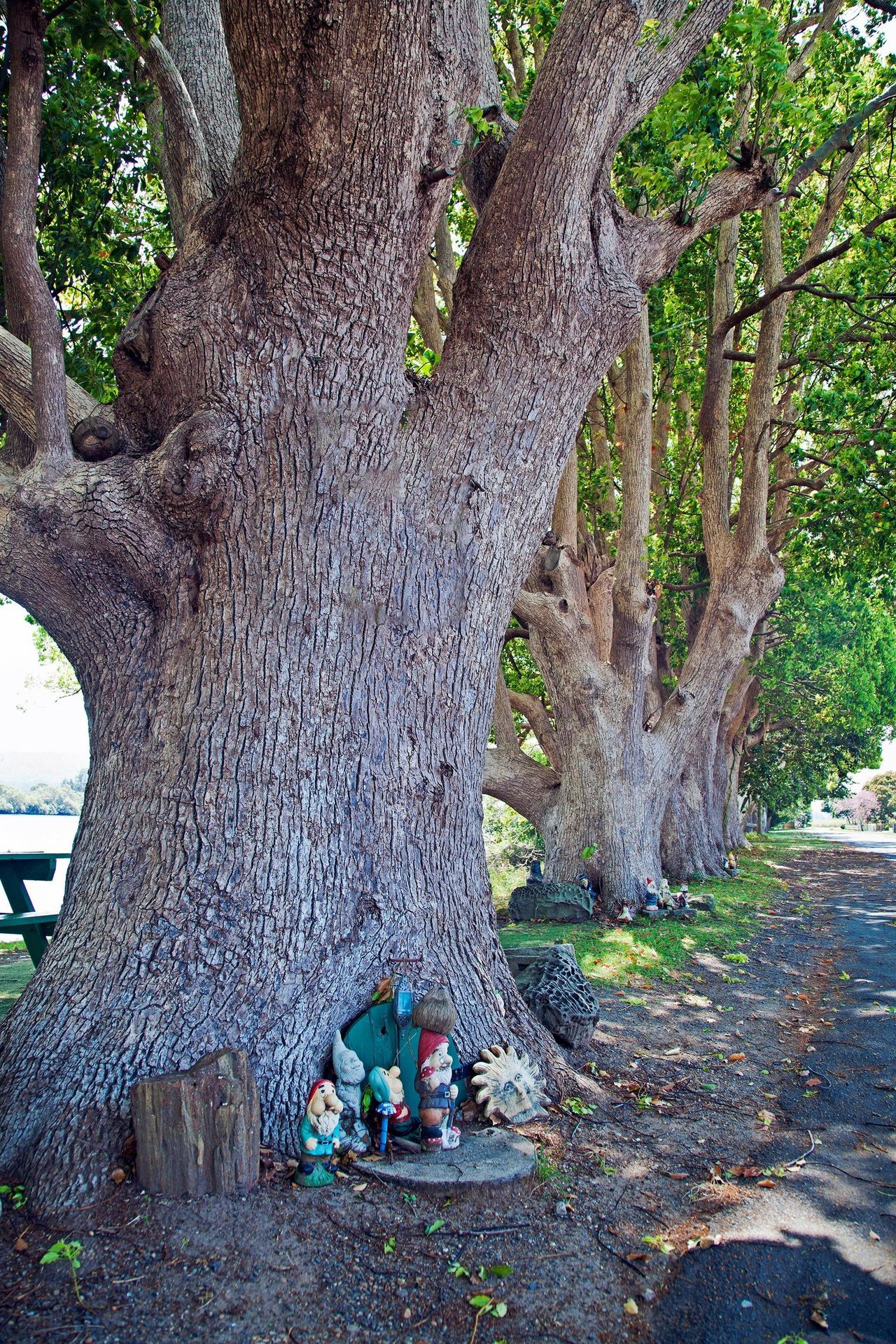 The gnomes are home in Chatsworth
