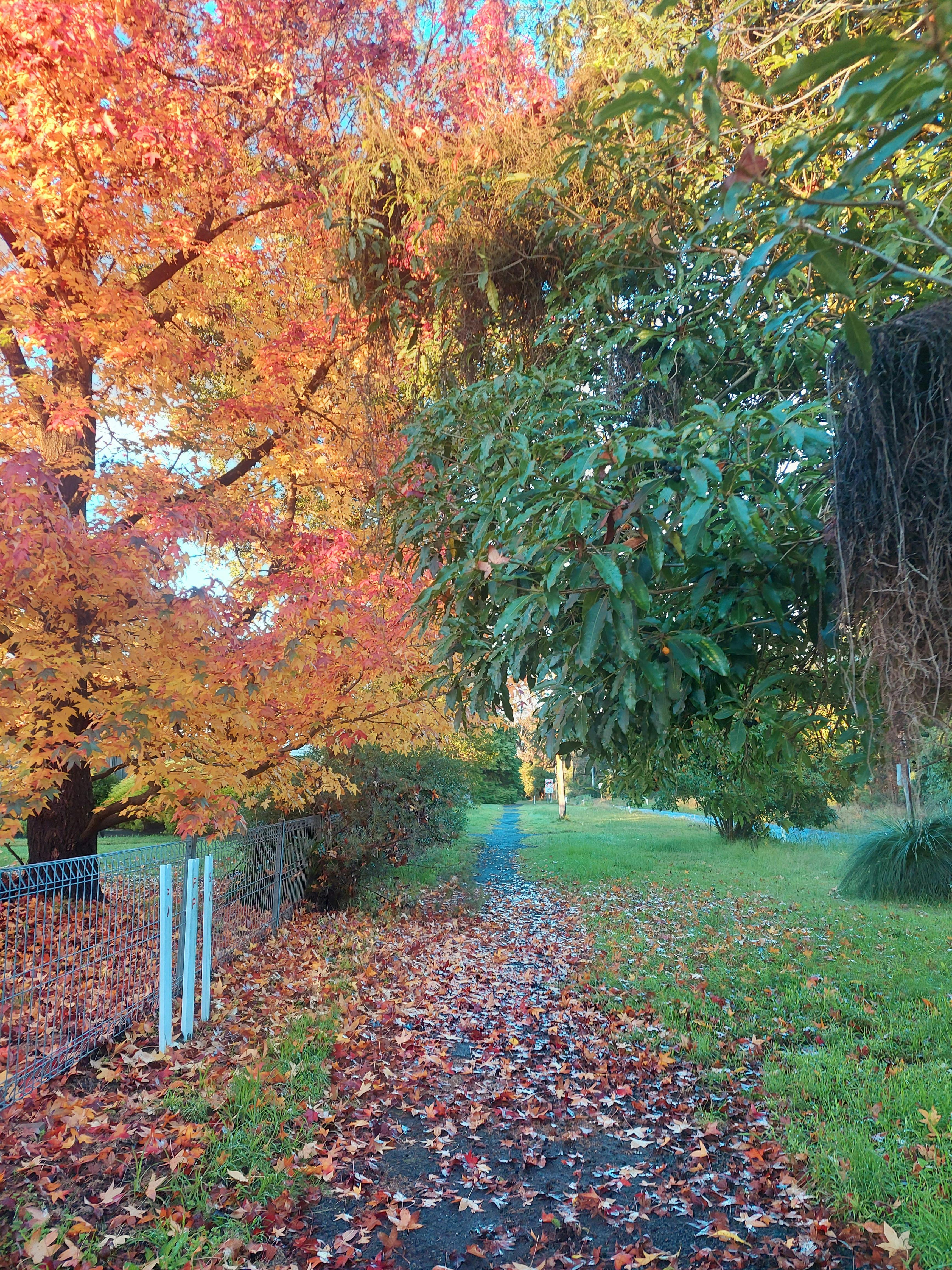 Autumn colours in Buxton