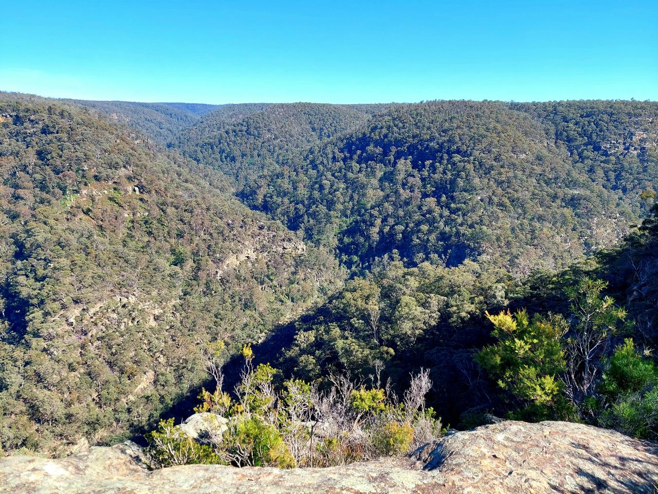 Buxton Ladies Waist Lookout