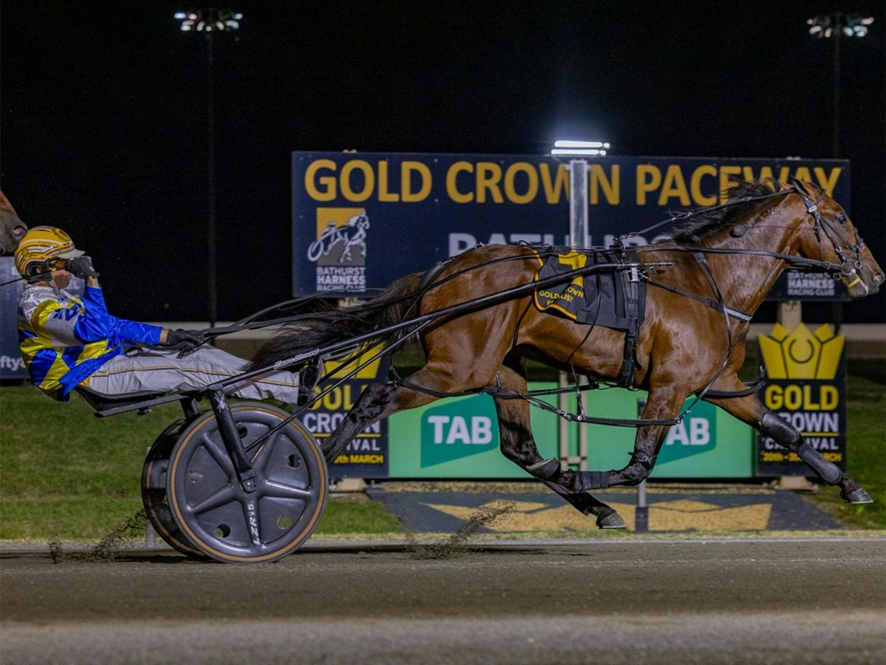 Bathurst Harness Racing Club