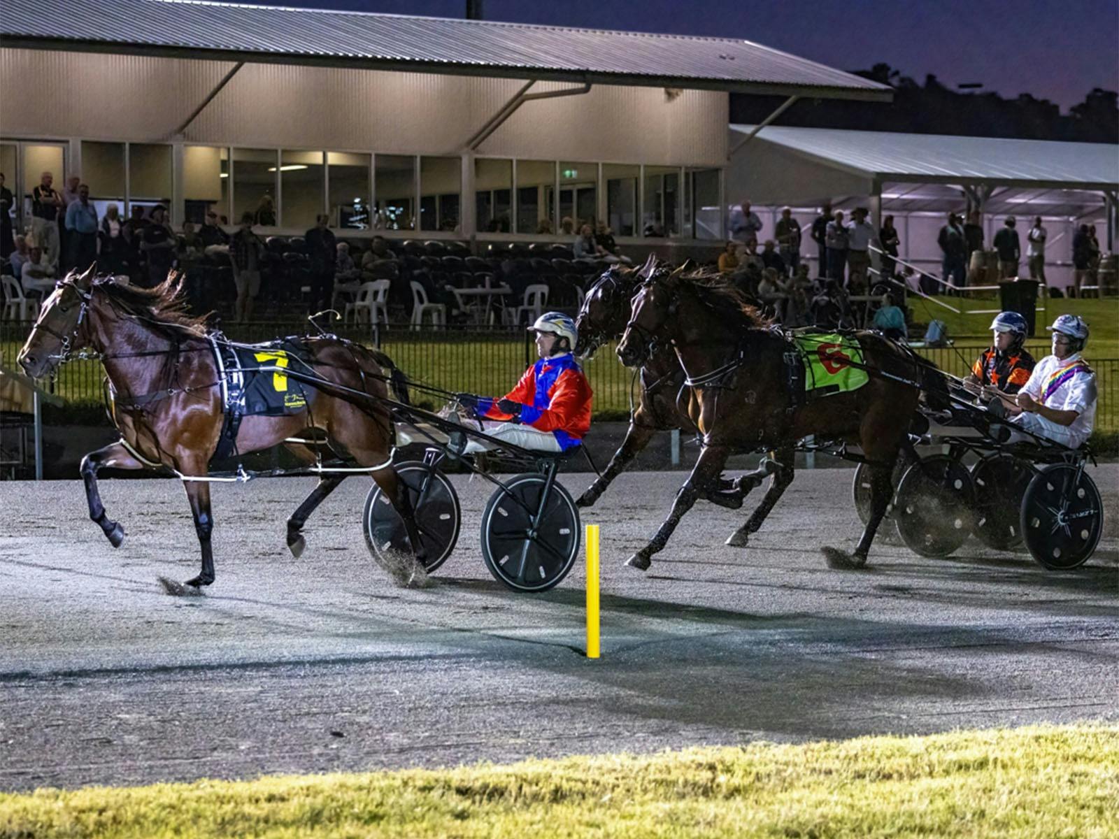 Bathurst Harness Racing Club