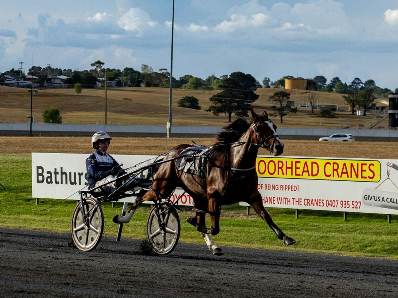 Bathurst Harness Racing Club