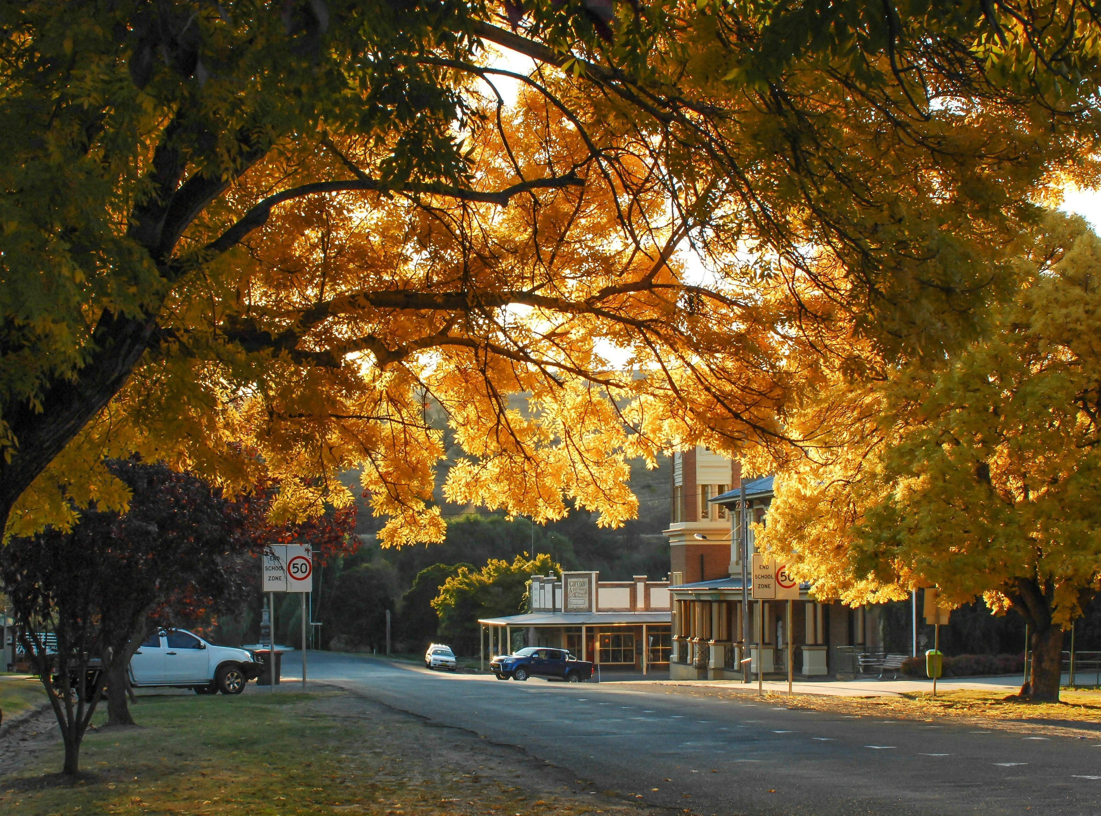 Carcoar