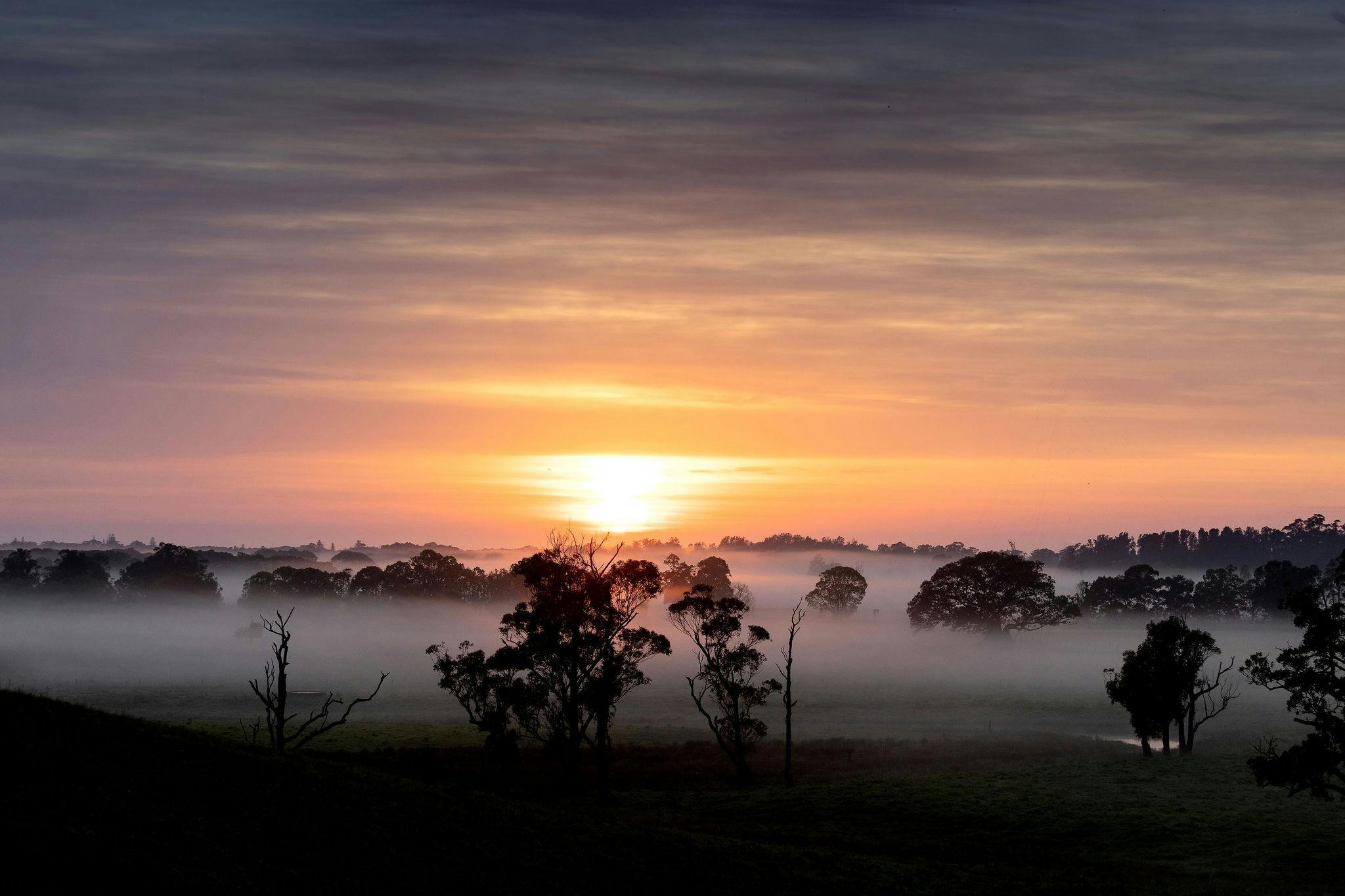 Sunrise over Bellingen Farm