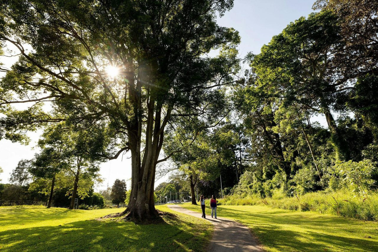 Jarrett Park Bellingen