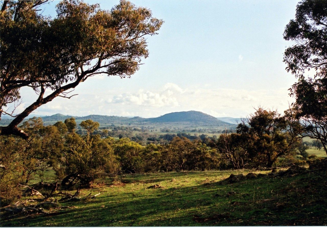 Bowning Hill
