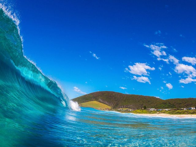 Blueys Beach, Pacific Palms