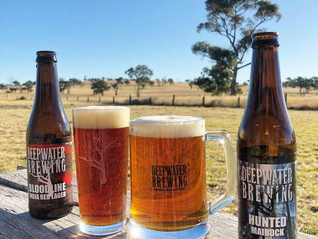 The view from Deepwater Brewing