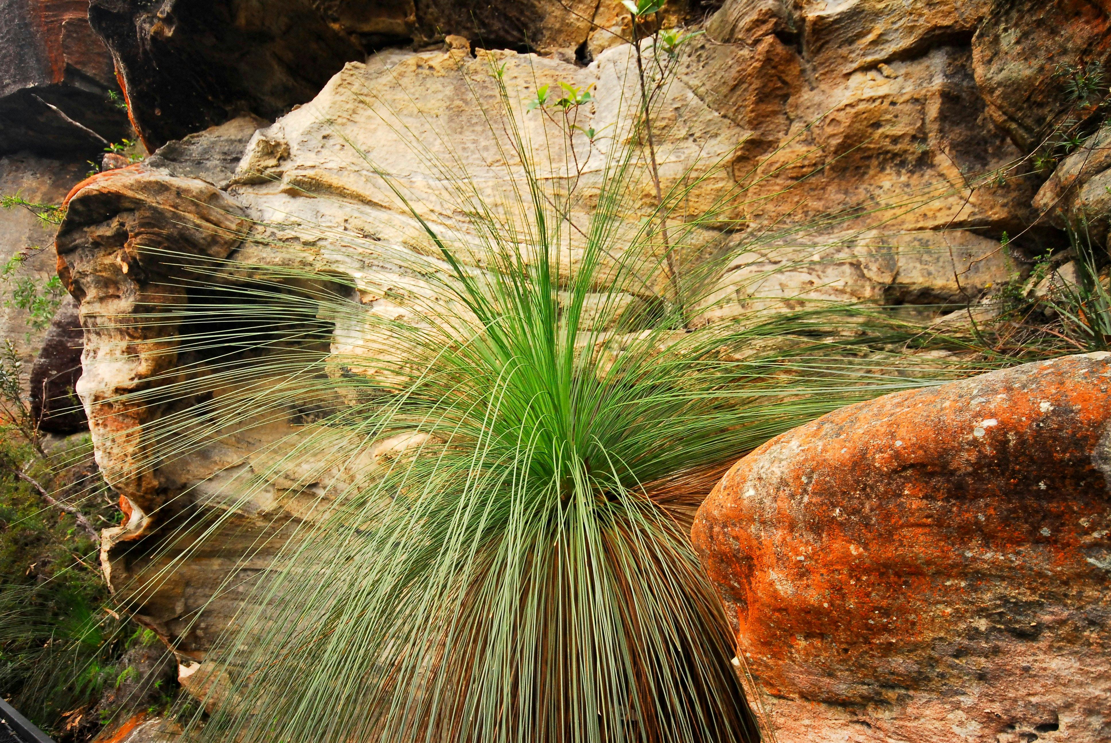 Bundanoon - Morton National Park