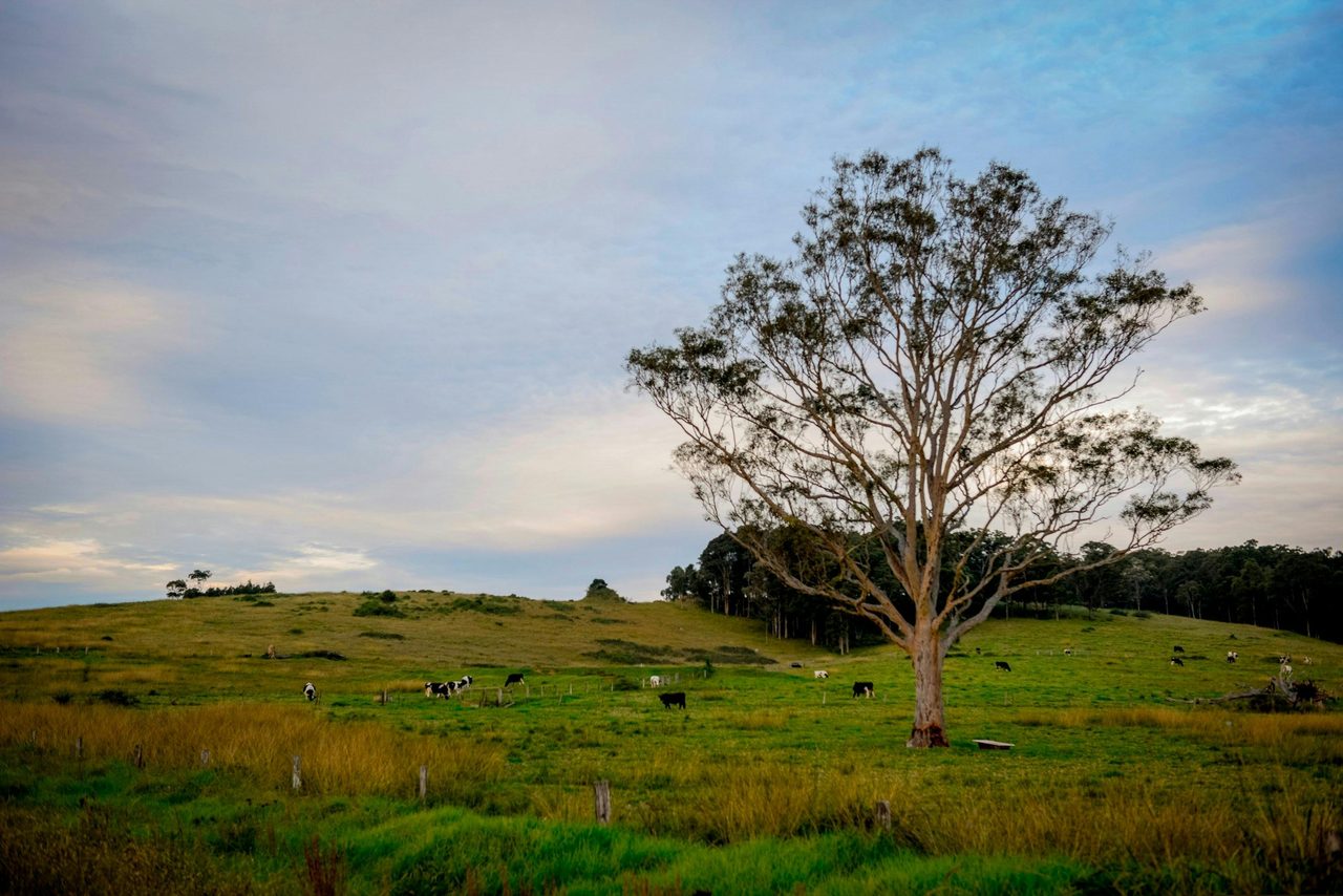 Berry NSW