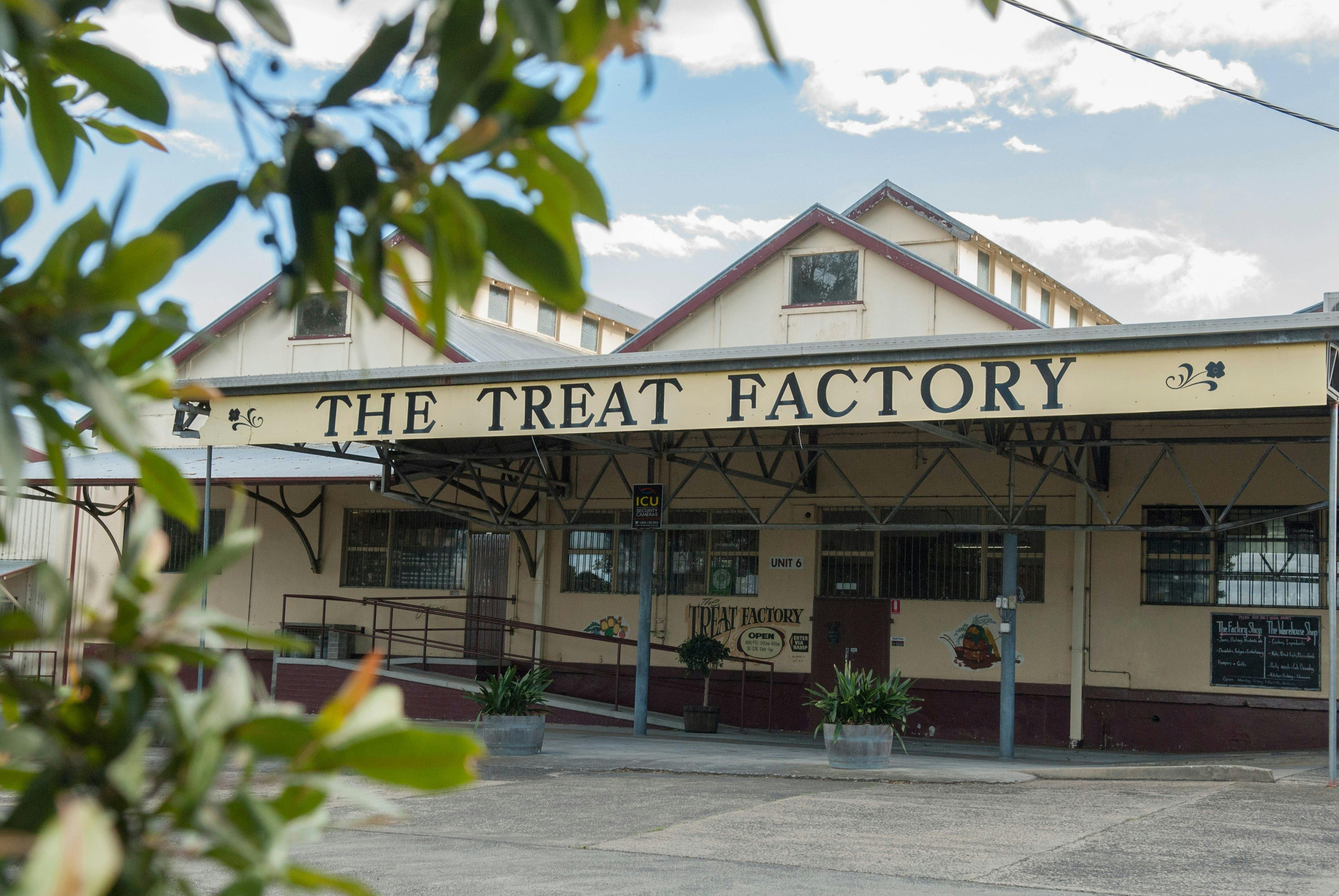 The Treat Factory - Berry
