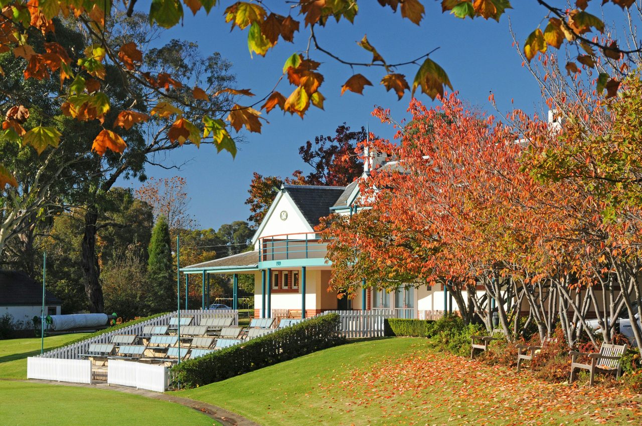 Bowral - Bradman