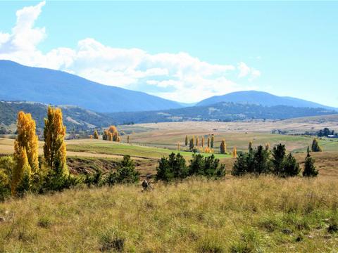 Bredbo - Village of Poplars