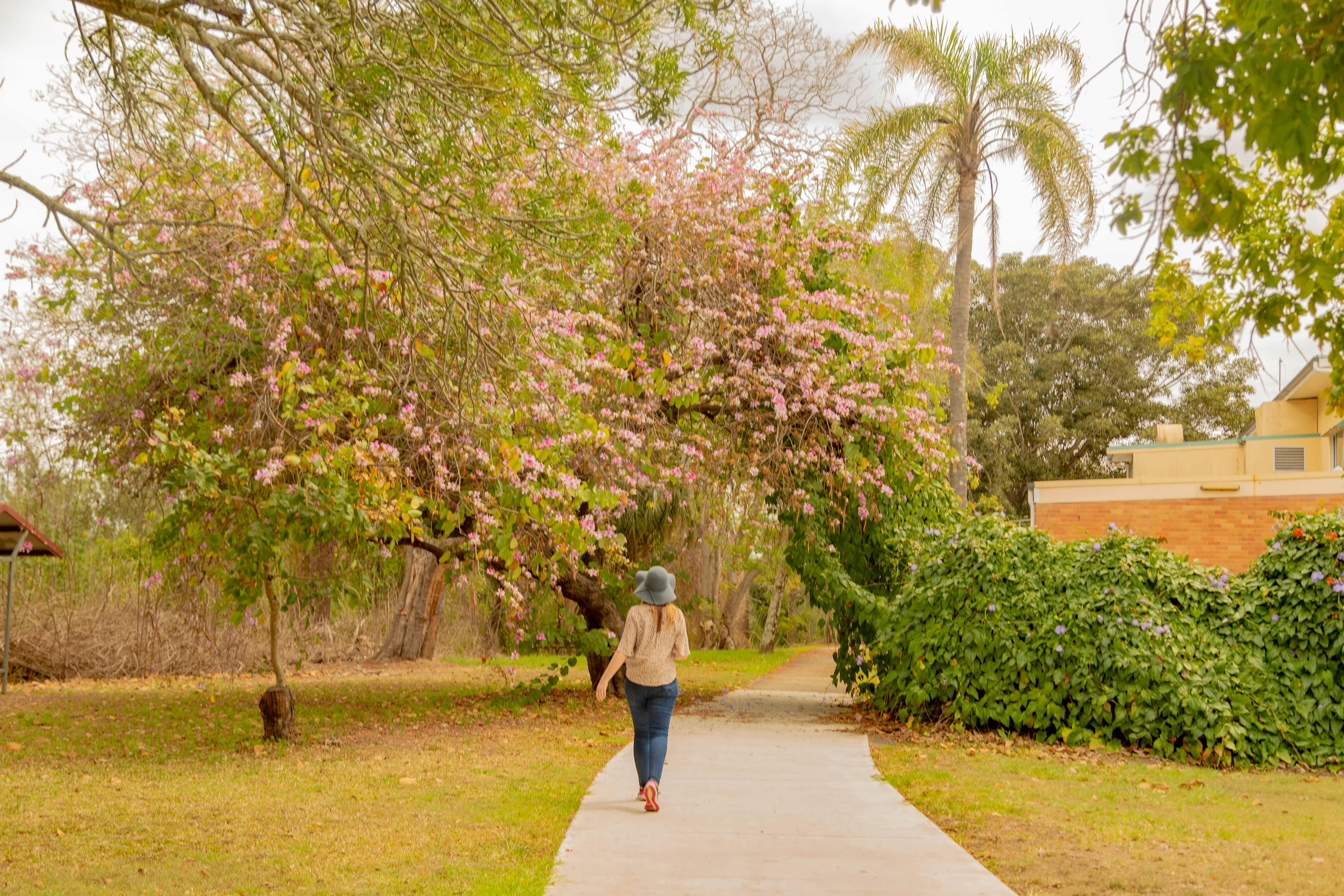 Lady walking on footpath with trees flowering in the background