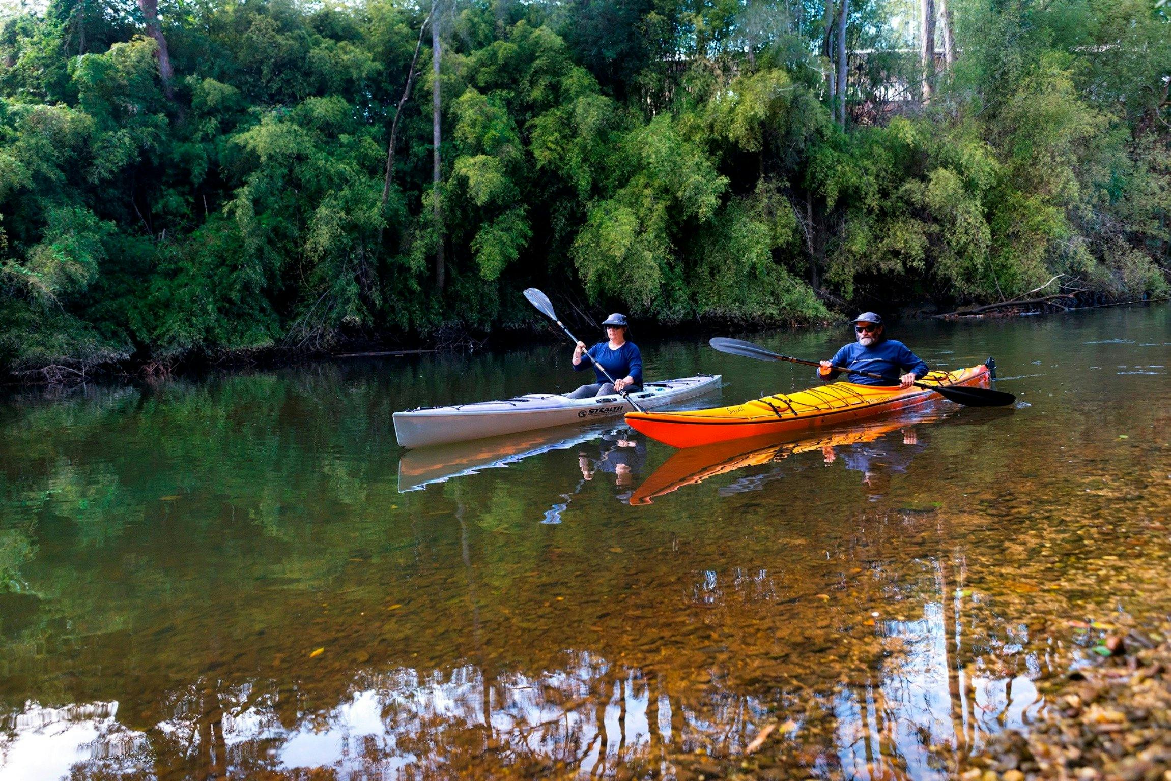 Kayaking on Bonville Creek