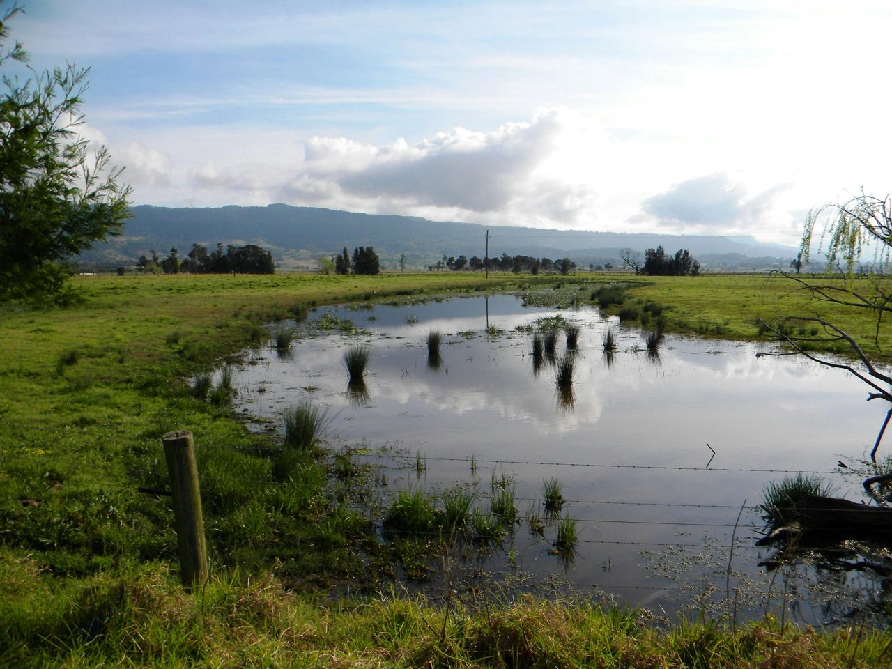 Bolong, South Coast NSW