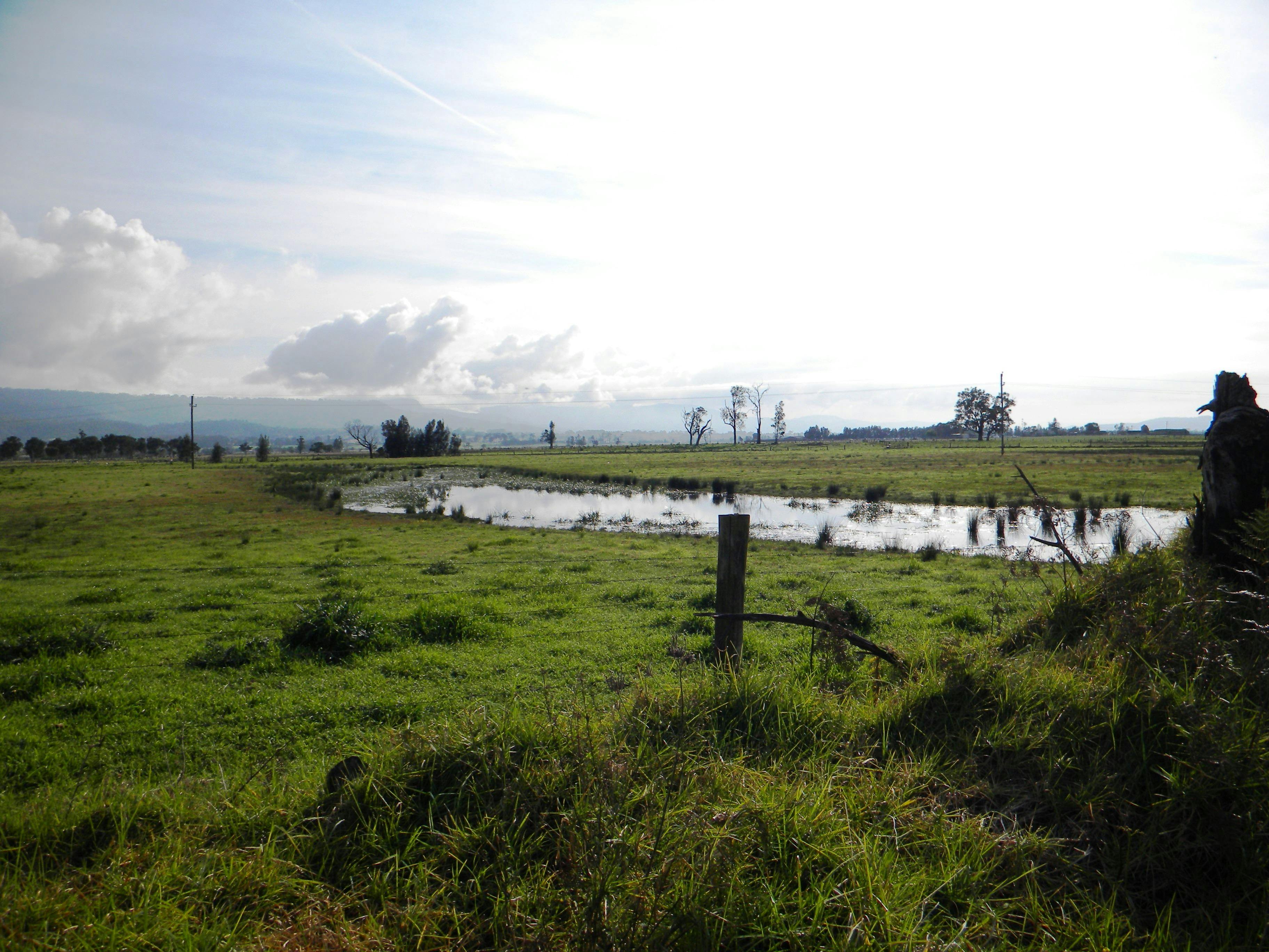 Bolong, Shoalhaven, NSW