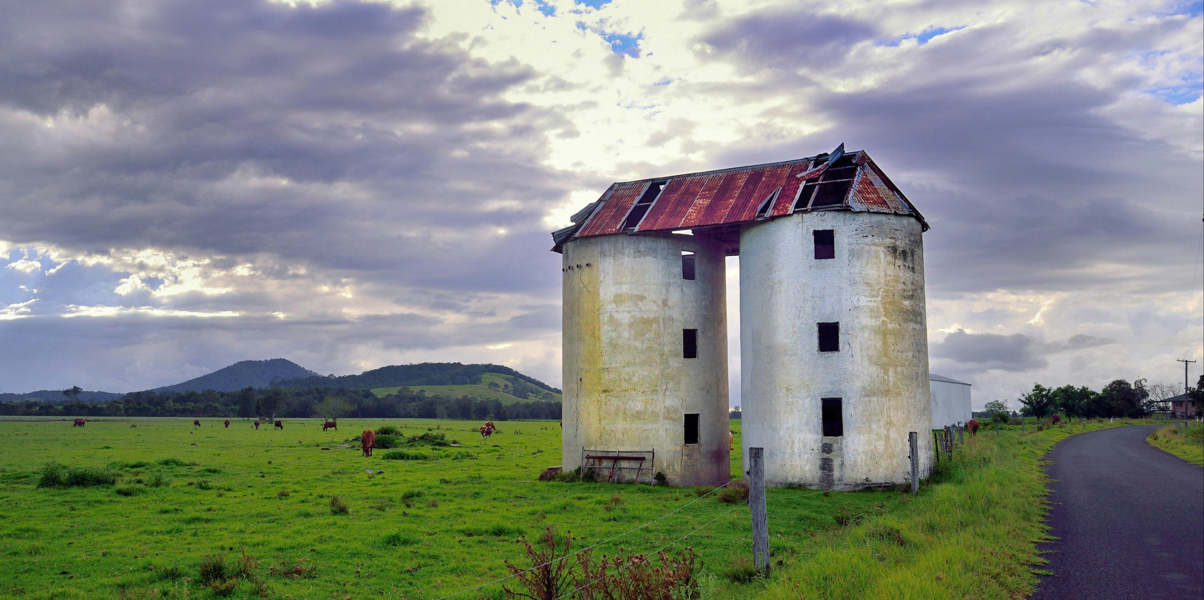 Jennings Lane Bolong