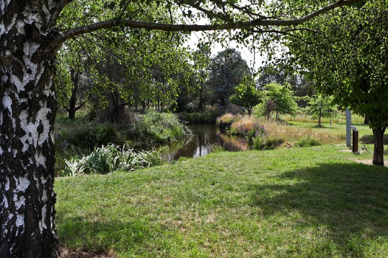 Delegate River