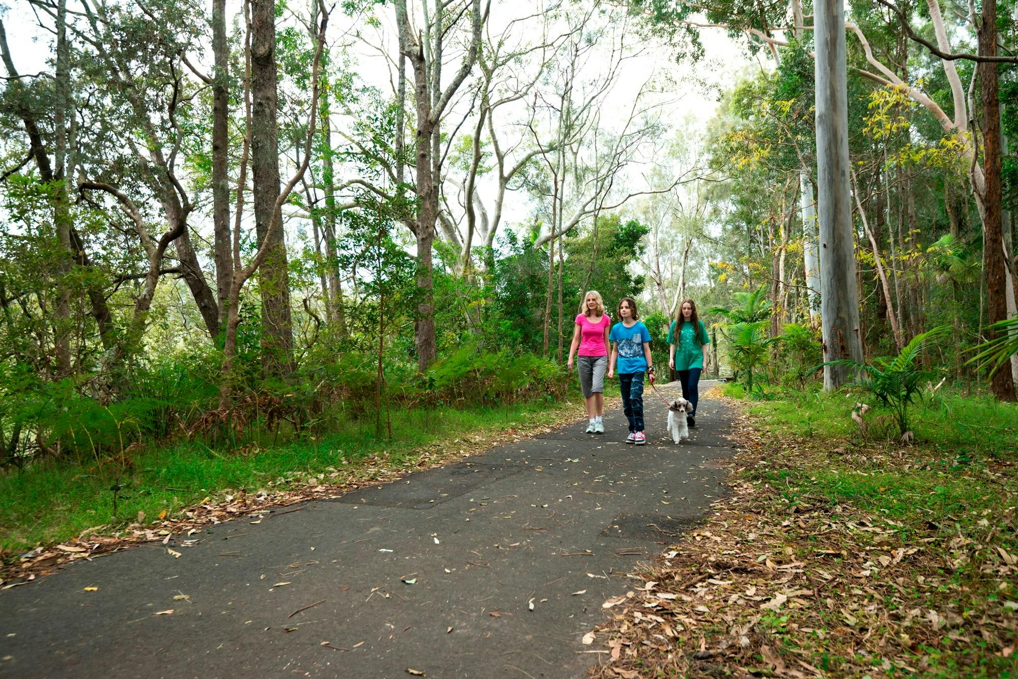 Coffs Creek Walk