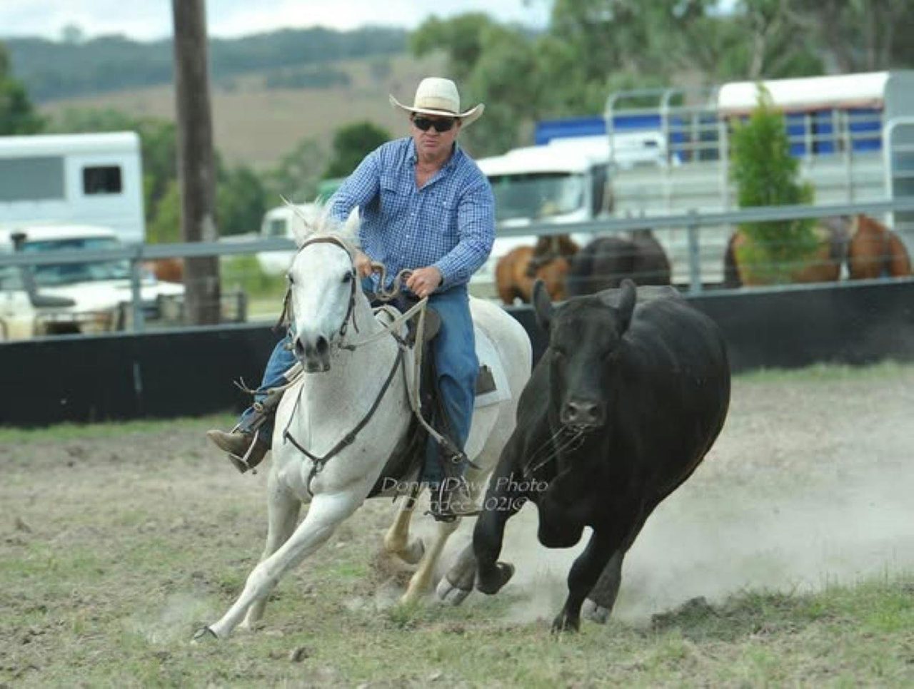 Campdraft