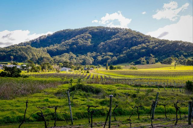 Coolangatta - NSW