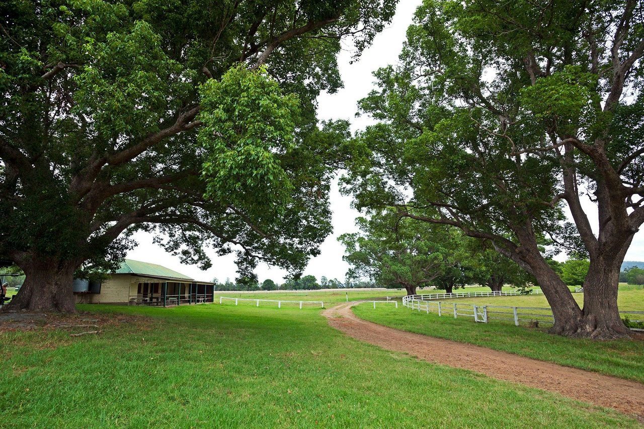Copmanhurst recreation reserve