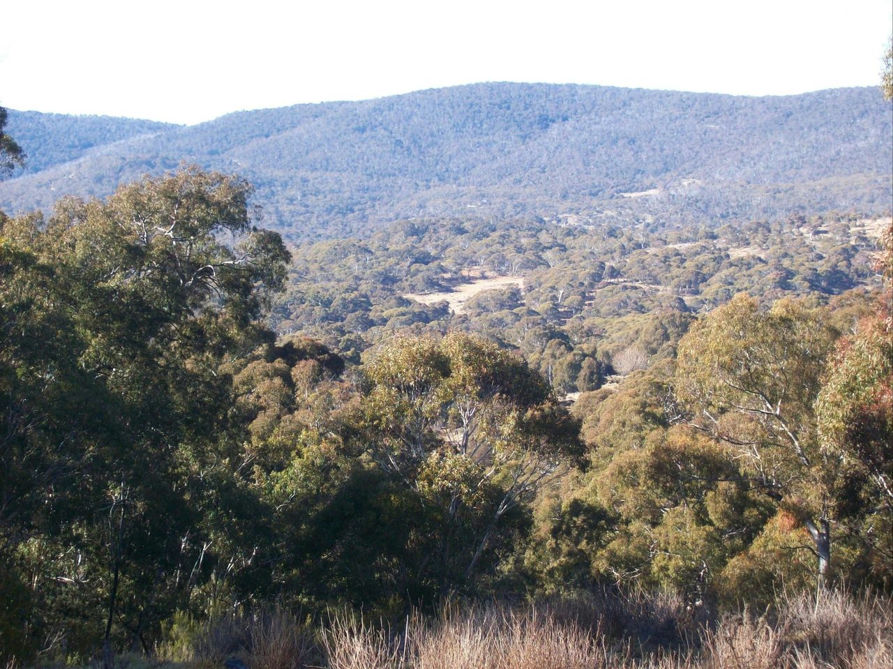 Crackenback area