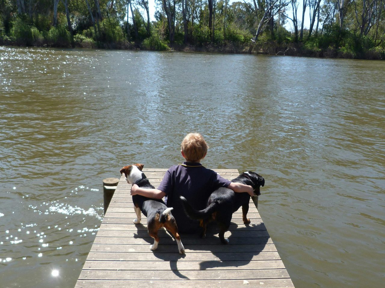 Fishing Jetty on the Murray River at Corowa
